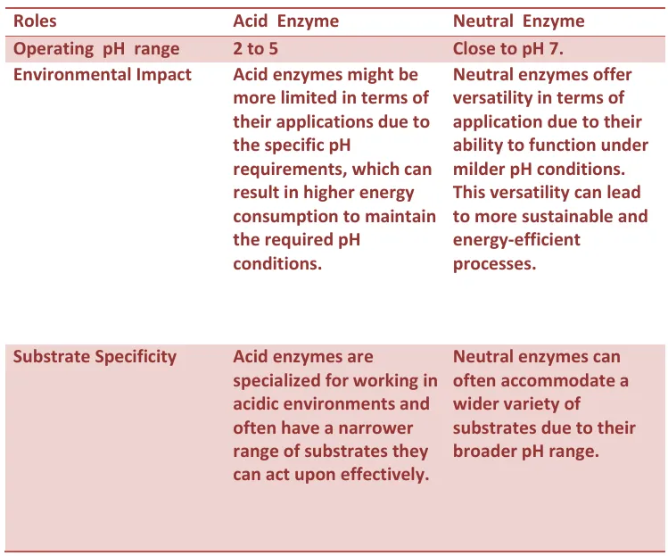 Acid Enzyme vs Neutral Enzyme