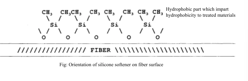 Orientation of silicone softener on fiber surface